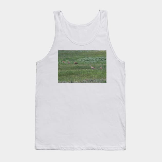 850_1935 Tank Top by wgcosby